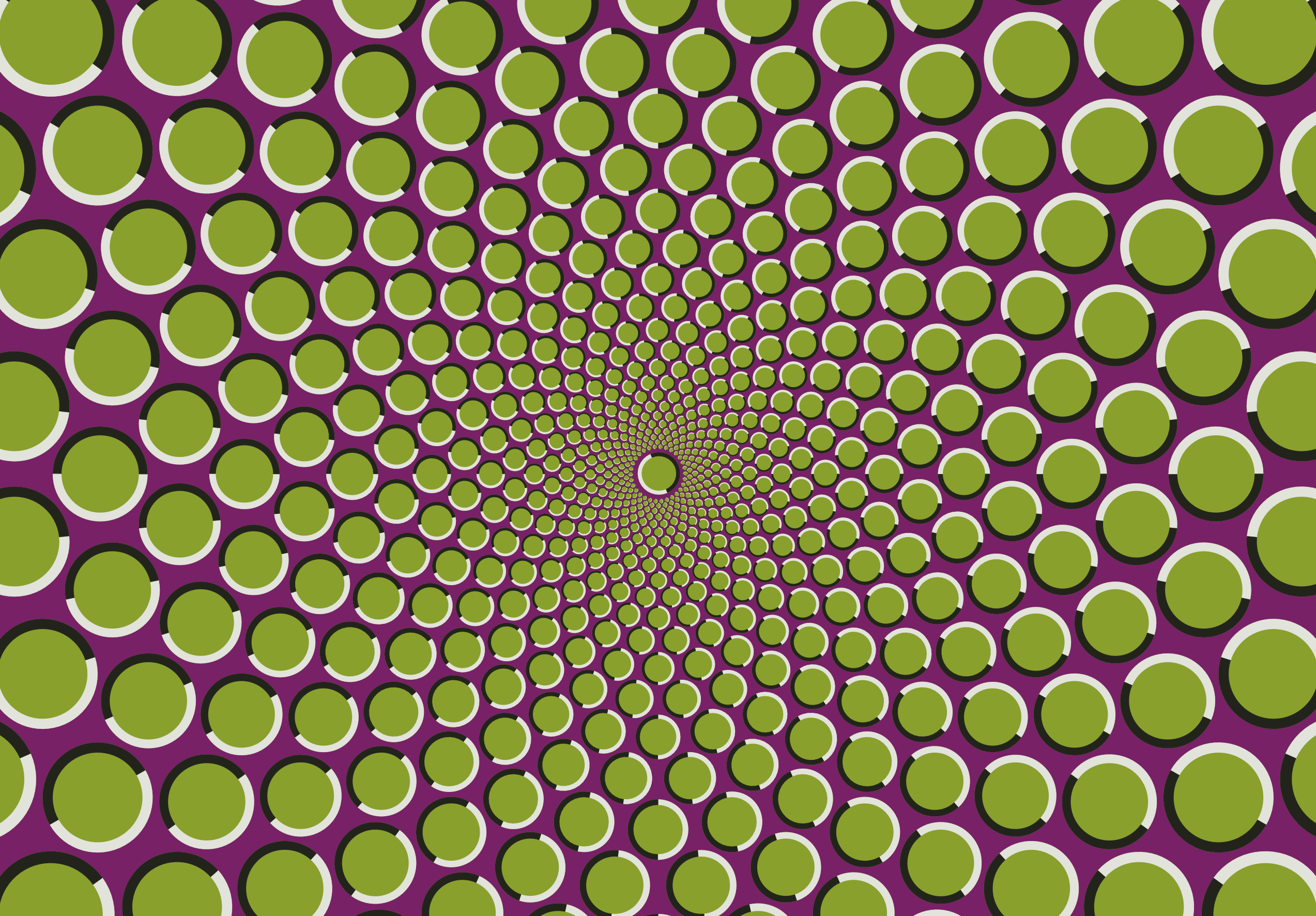 An optical illusion in which a static image appears to be moving