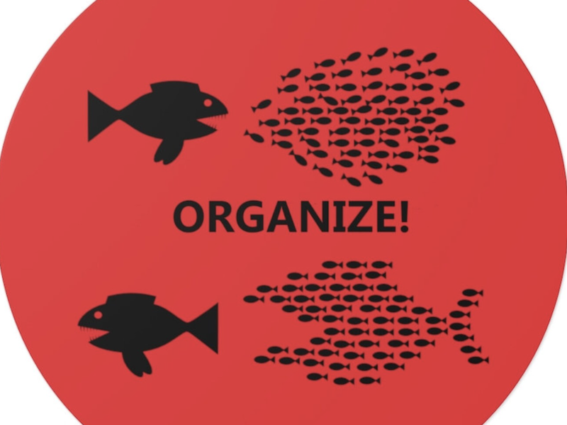 Above, a big fish chasing an unorganized school of smaller fish.  In the middle the word ORGANIZE!  Below, the small fish, organized chasing the big fish